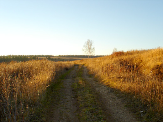 36216 (a): :1024x768